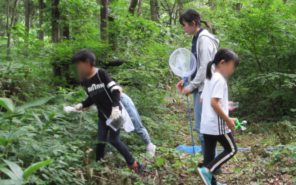 地域の子どもたちとの “虫とり” 交流 ~キャンパスを出て白山麓の自然を感じたひととき~