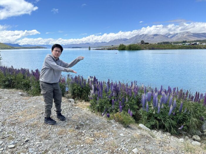 ルピナスが彩るLake Tekapoの畔